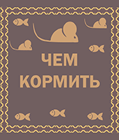 чем кормить хорошего кота
