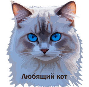 белый кот