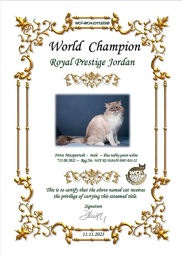 Титульный сертификат - World Champion WCF