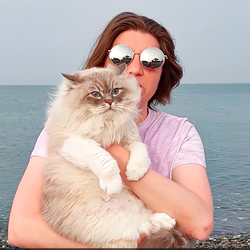 Невский маскарадный кот Жордан на Черном море в Адлере