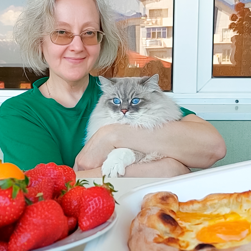 Кот Жордан впервые увидел клубнику и хачапури.
