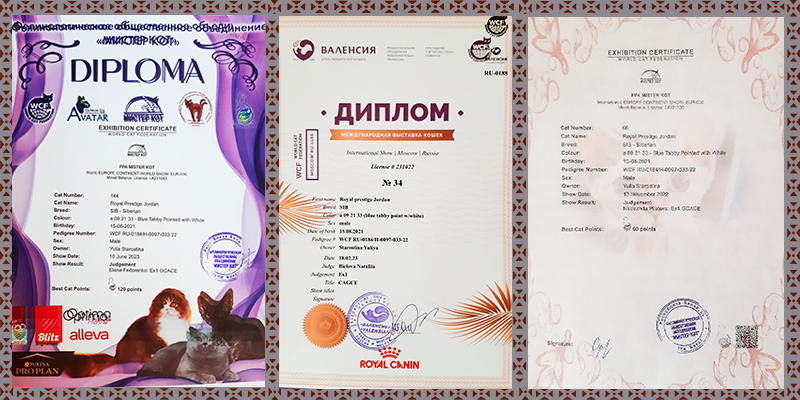 дипломы с выставок