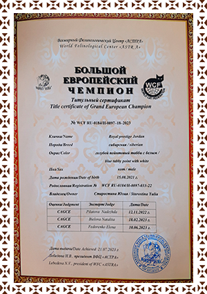 сертификат большой европейский чемпион для котов