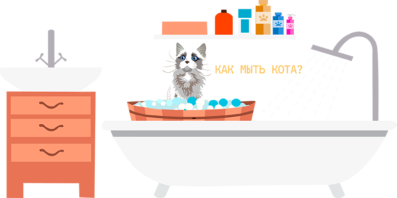 нужно ли мыть кошек