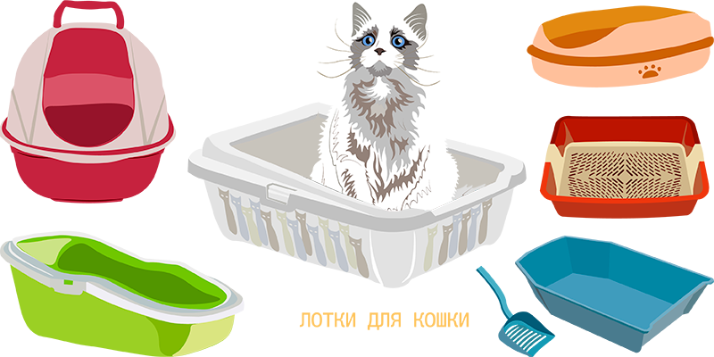 какой туалет выбрать для кошки