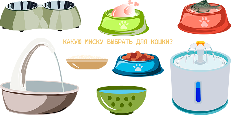 миски для кошки
