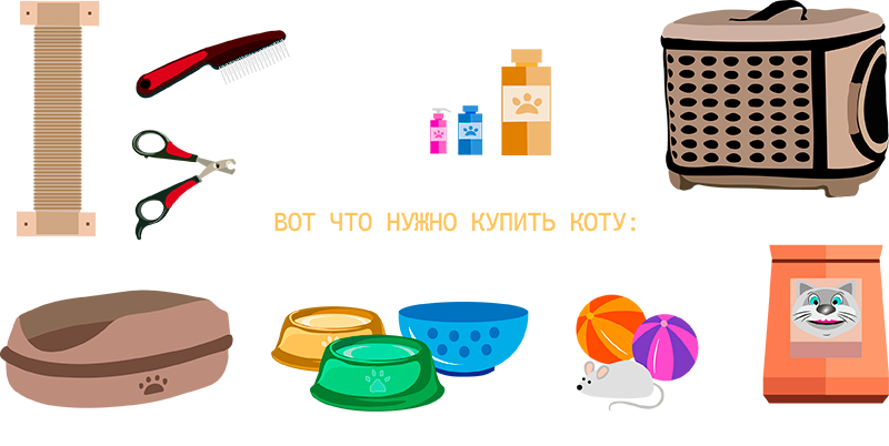 эти товары нужны коту
