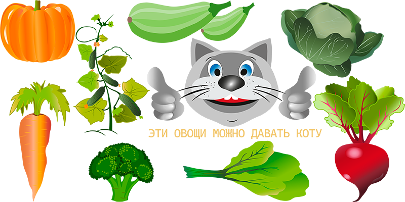 эти овощи можно давать кошкам