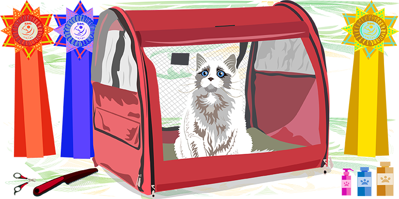 кот в выставочной палатке