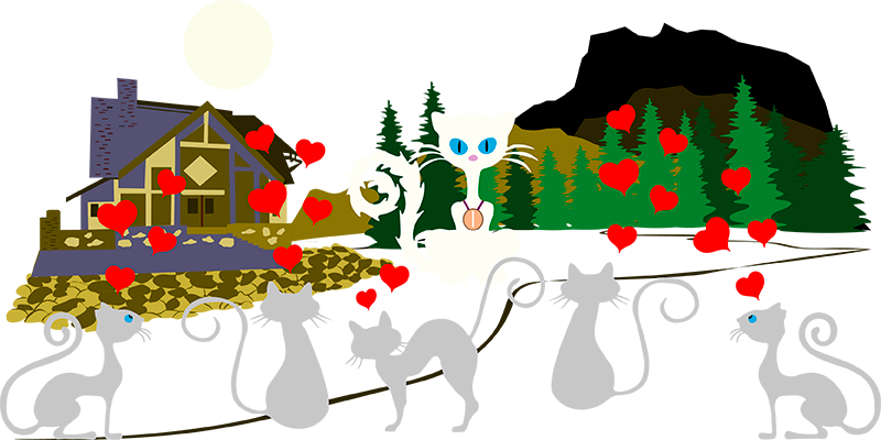 кошки