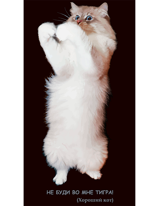 смешной принт кота