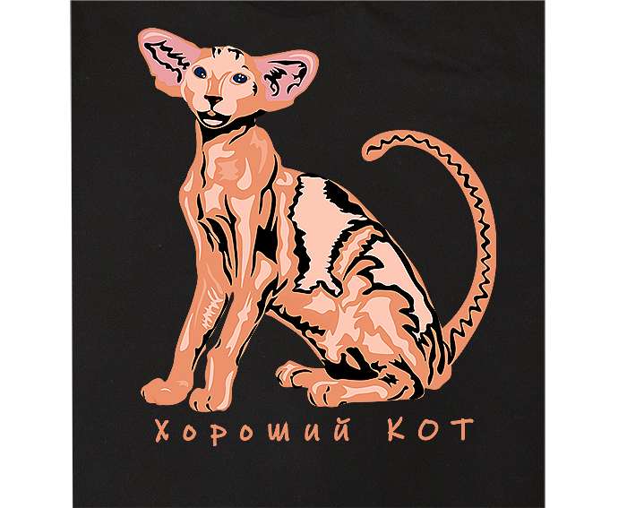 принт на футболке