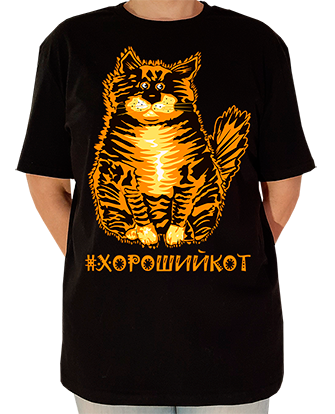 футболка с кошкой хороший кот