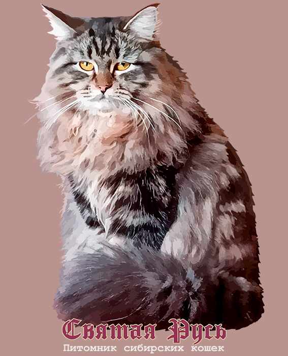 принт Сибирского кота